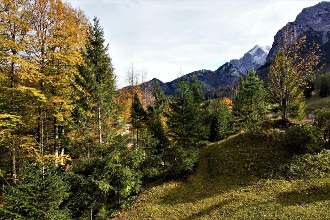 ホテル Ferienhaus Waldwinkl グライナウ 部屋 写真
