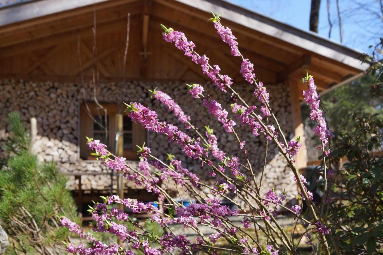 ホテル Ferienhaus Waldwinkl グライナウ エクステリア 写真